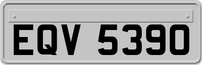 EQV5390