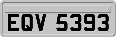 EQV5393