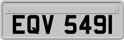 EQV5491