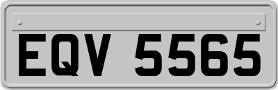 EQV5565