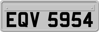 EQV5954