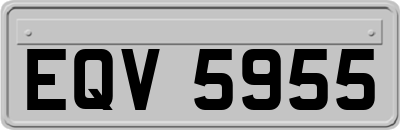 EQV5955