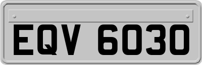 EQV6030