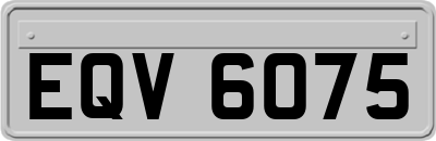EQV6075