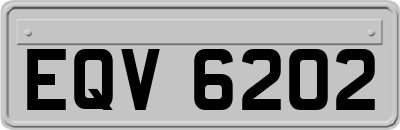 EQV6202