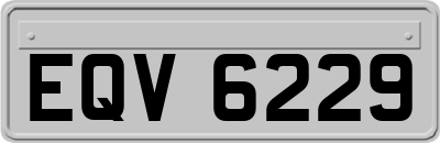 EQV6229