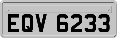 EQV6233