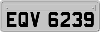 EQV6239