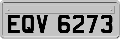 EQV6273
