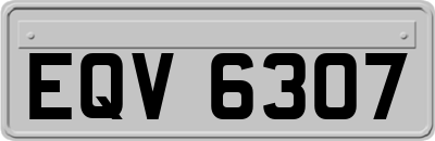 EQV6307