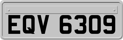 EQV6309