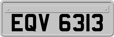 EQV6313