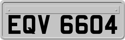 EQV6604