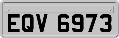 EQV6973