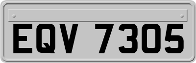 EQV7305