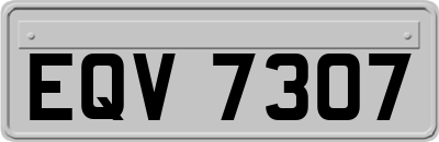 EQV7307