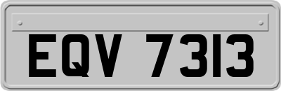 EQV7313