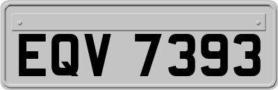 EQV7393