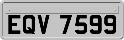 EQV7599