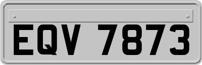 EQV7873