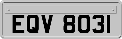 EQV8031