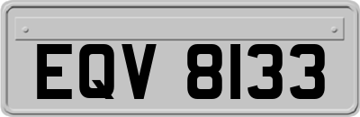 EQV8133