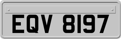 EQV8197