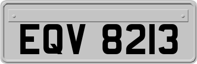 EQV8213