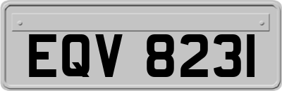 EQV8231