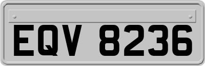 EQV8236