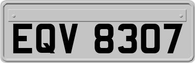 EQV8307