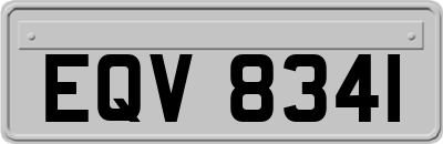 EQV8341