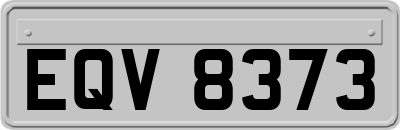 EQV8373