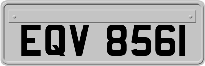 EQV8561