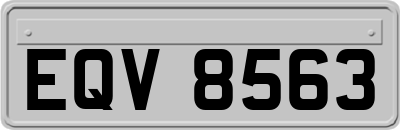 EQV8563