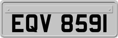 EQV8591