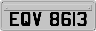 EQV8613
