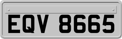 EQV8665