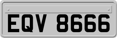 EQV8666