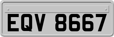 EQV8667