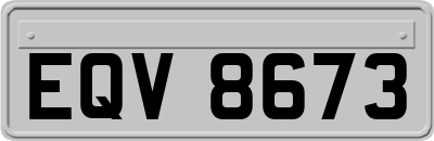 EQV8673