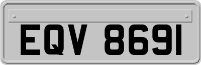 EQV8691