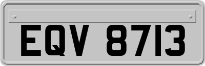 EQV8713