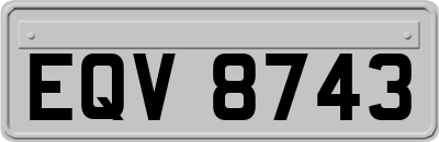 EQV8743