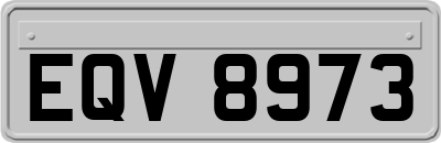 EQV8973