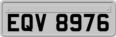 EQV8976