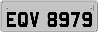 EQV8979