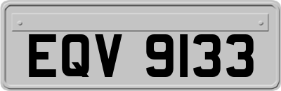 EQV9133