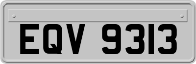 EQV9313