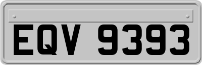 EQV9393